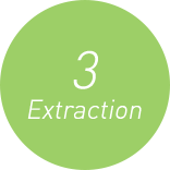 3 Extraction