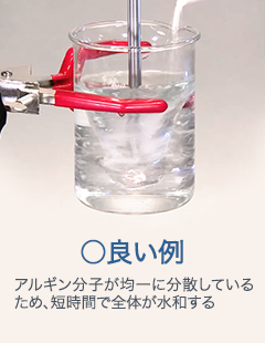 ◯良い例 アルギン分子が均一に分散しているため、短時間で全体が水和する