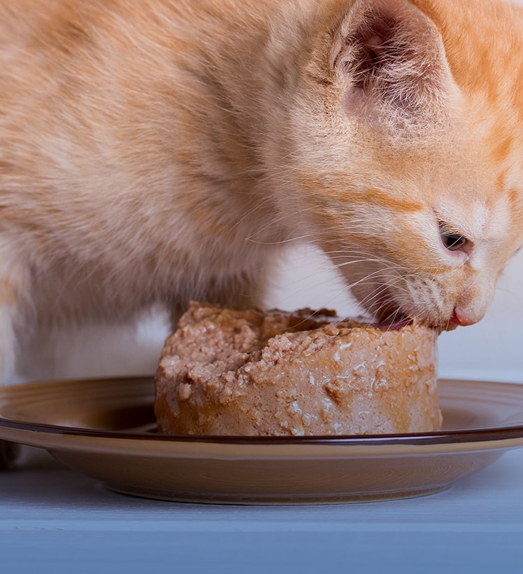 飼料・肥料の写真