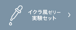 イクラ風ゼリー実験セット