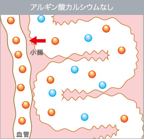 アルギン酸カルシウムなし