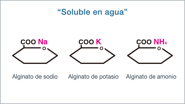 “Soluble to water” Sodium Alginate Potassium Alginate　Ammonium Alginate