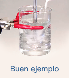 Correcto