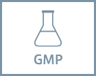 GMP
